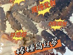 -棒棰岛辽参(长宁旗舰店)