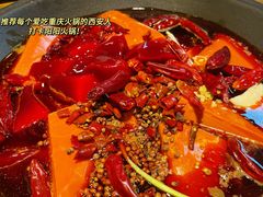 -阳阳老火锅(小南门店)