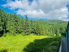 -武陵山森林公园