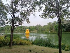-渭滨公园
