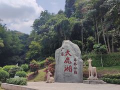 -天鹿湖森林公园