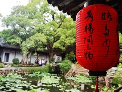 -上海醉白池公园