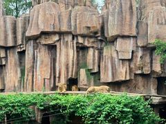 -长鹿旅游休博园