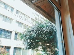 -Cafe Villa
