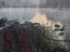 -靖西鹅泉风景区
