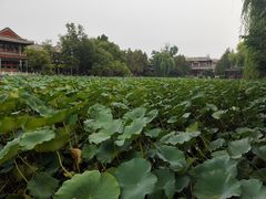-莲池书院博物馆