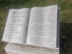 -遵化市禅林寺古银杏风景园