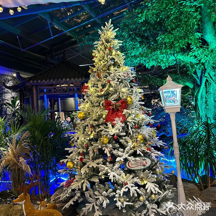 在无锡！好吃又好拍的生态火锅！