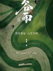 -金芙美月子中心(财富别墅店)