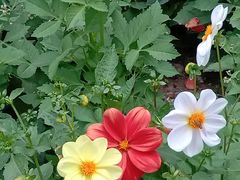 -黄河三峡风景名胜区