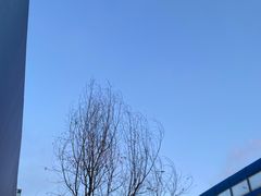 -东北大厦酒店(沈阳北站青年大街店)