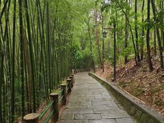 -敬亭山风景名胜区