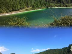 -武陵山森林公园