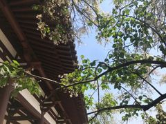 -西安青龙寺遗址景区