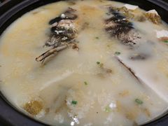 大金湖鱼头-新悦·霞浦海鲜生(上下杭店)