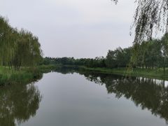 -东郊湿地公园