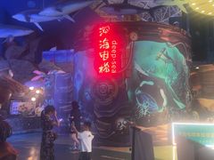 -烟台海昌鲸鲨海洋公园