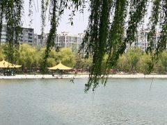 -陶然亭公园