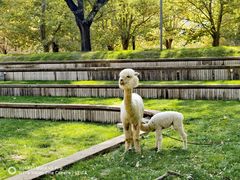 -安立路(地铁站)