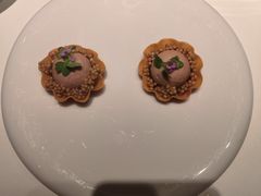 -觀芷隐轩