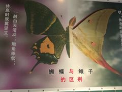 -上海昆虫博物馆