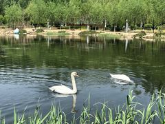 -吉林大学(前卫南区)
