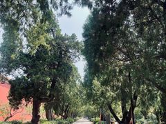 -北京市劳动人民文化宫(太庙)