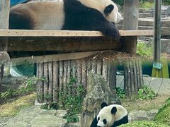 -大连森林动物园