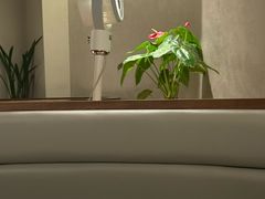-7017浙菜•建德味(市心北路店)