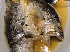 鸡汁大黄鱼-江南原著(中联广场店)