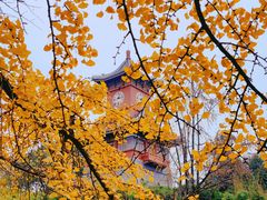 -四川大学(华西校区)