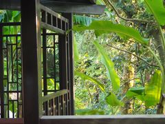-深圳仙湖植物园