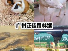 -正佳雨林生态植物园