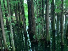 -东湖落雁景区