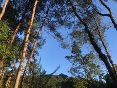 -楠溪江风景名胜区