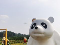 -空港花田景区