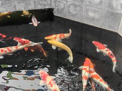 -西安市广仁寺