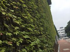 -大埔公路-马料水段香港中文大学(公交站)