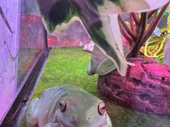 -花鸟鱼虫鲜花绿植市场(玉泉路店)
