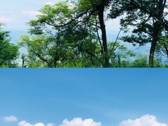 -齐岳山