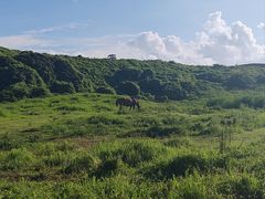 -涉地可支