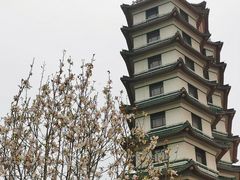 -窗外西餐厅(普罗理想国店)