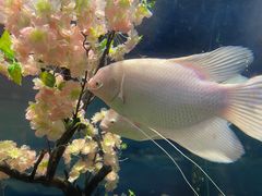 -常州海昌海洋探索馆