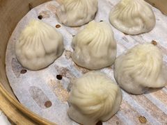 鲜肉小笼-苏小柳手工点心(人民广场分院)