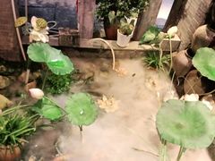 -古道村落(温汤店)