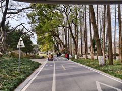 -采石矶景区