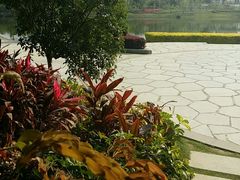 android_upload_pic-琴亭湖公园