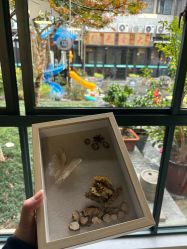 -保丽宝泰母婴护理院·月子中心·产康·中医(常州店)