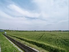 -嘉北郊野公园