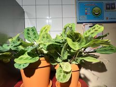 -路易时光(蕴川路店)